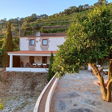 Country House Quinta Da Salgueira Alijó Exterior foto