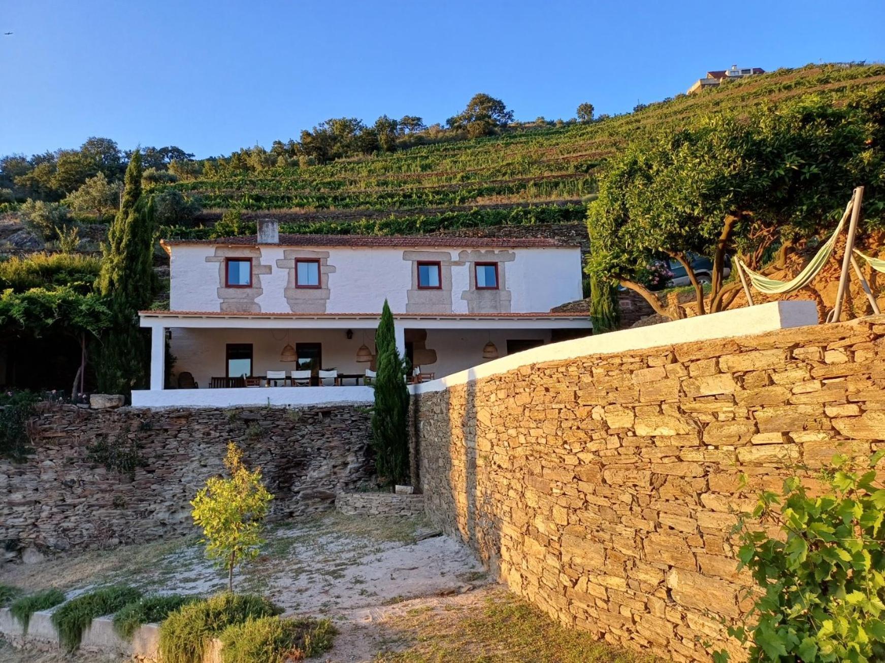 Country House Quinta Da Salgueira Alijó Zimmer foto